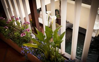 Hotel courtyard pool and flowers